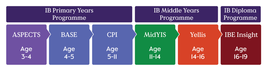 large-IB-Programme-Graphic